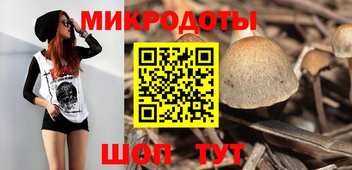 Кызыл  Псилоцибиновые грибы MAGIC MUSHROOMS  Галлюциногенные грибы Cubensis  Вход с VPN 